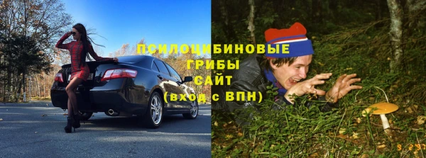 тгк Алзамай