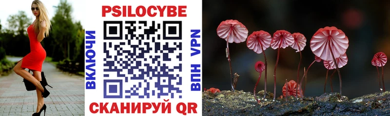Псилоцибиновые грибы Psilocybine cubensis  Цимлянск 